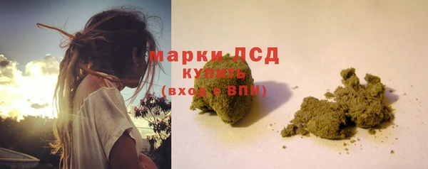 ГАЛЛЮЦИНОГЕННЫЕ ГРИБЫ Абаза