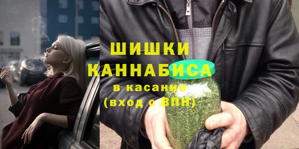 ГАЛЛЮЦИНОГЕННЫЕ ГРИБЫ Абаза