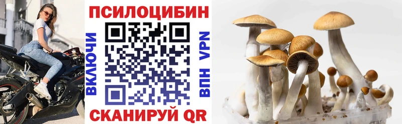 площадка телеграм  Абинск  Псилоцибиновые грибы прущие грибы 