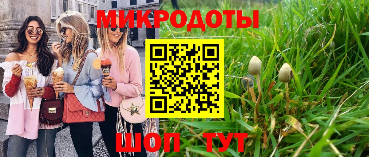 Псилоцибиновые грибы MAGIC MUSHROOMS Абинск
