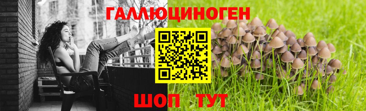 Псилоцибиновые грибы Psilocybine cubensis  Вход с VPN  Абинск  Галлюциногенные грибы Psilocybe 